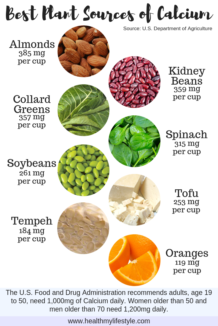 Best Plant Sources of Calcium