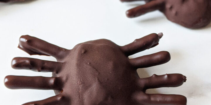 Vegan Chocolate Peanut Butter Spiders