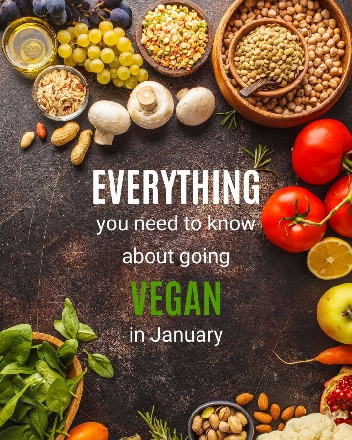 Table top with a variety of fruits, vegetables, grains, nuts and seeds strewn about with text in the center that says " everything you need to know about going vegan in january"