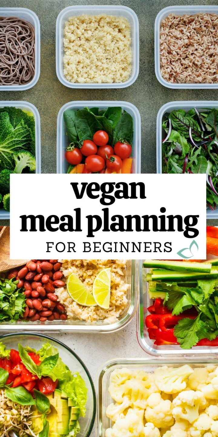 Vegan Meal Planning For Beginners | Health My Lifestyle