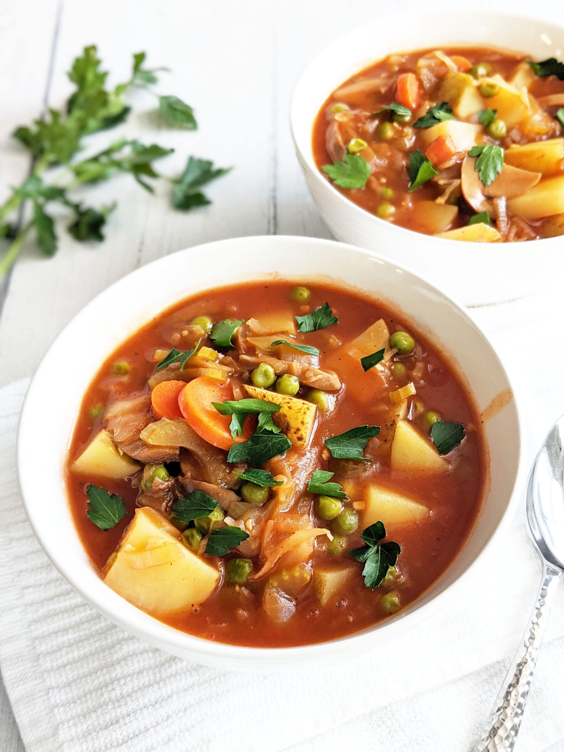 A bowl of vegetable stew topped with parsley