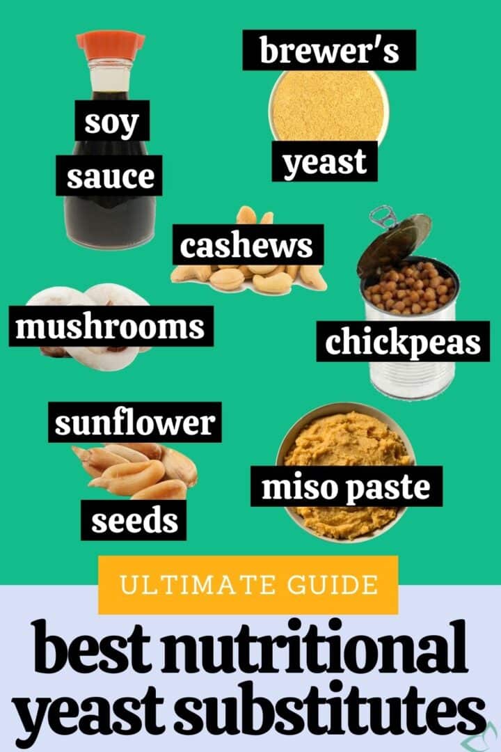 The Best Nutritional Yeast Substitutes Guide)