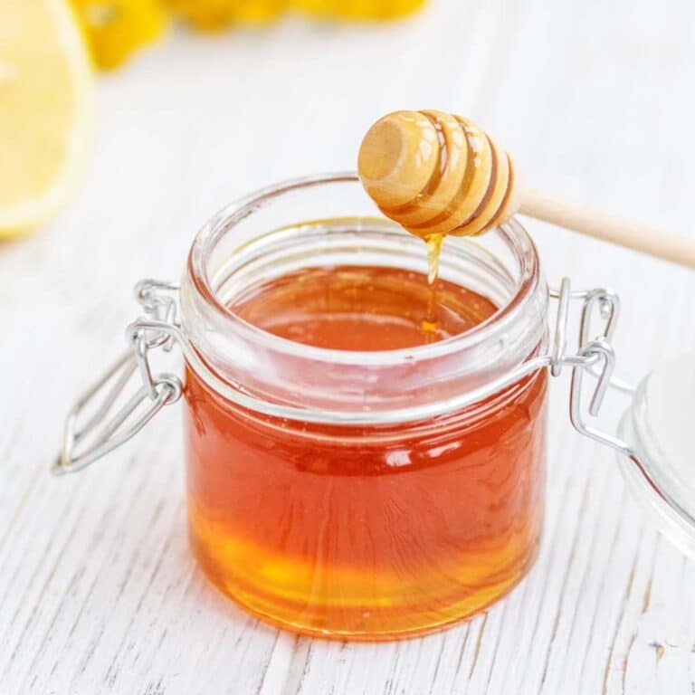 Vegan apple honey in a glass jar with a honey dipper.