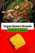 Collage of two images of ramen, one a completed dish with toppings, the other a dry block of ramen noodles, with text overlay "Vegan Ramen Brands, Which is best?"