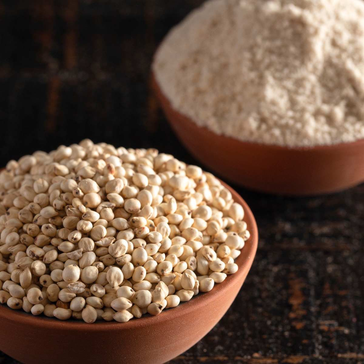 A bowl of dry sorghum next to a bowl of sorghum flour.