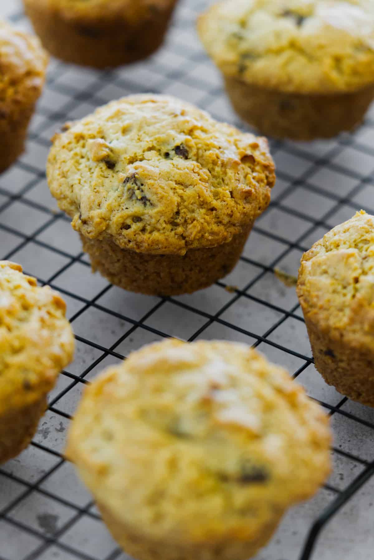 Baobab muffins on a cooling rack.