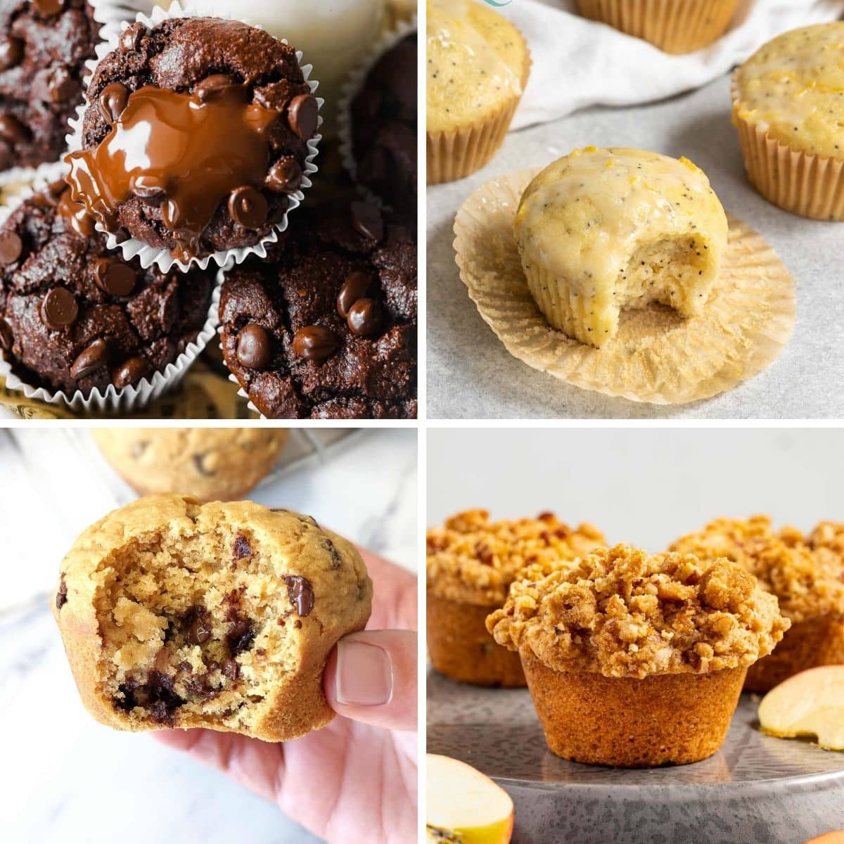 A collage of four vegan muffins including chocolate, lemon poppy seed, chocolate chip, and vegan apple muffins with streusel.