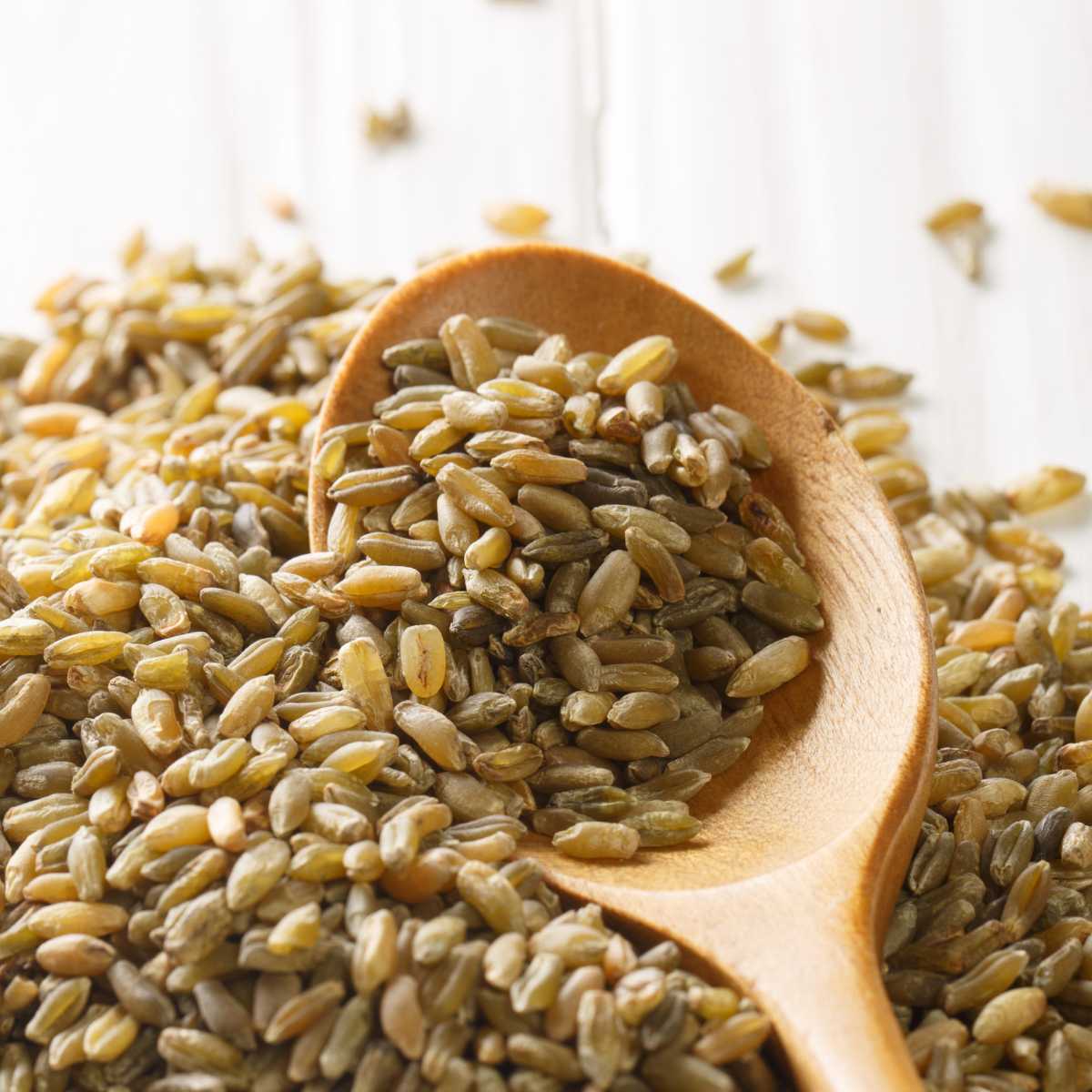 Wooden spoon scooping up dry freekeh grains.