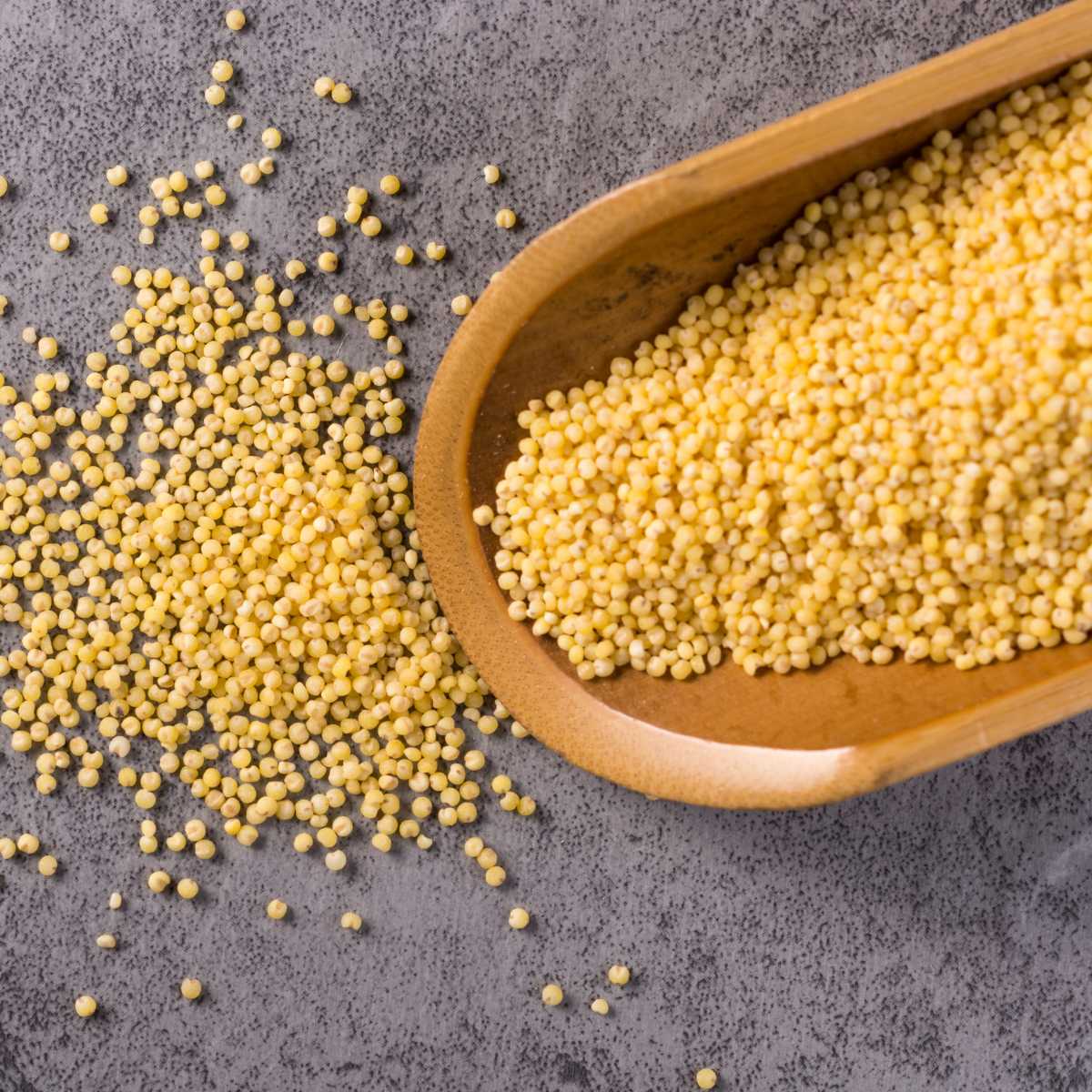 Wooden scooper holding dry millet.