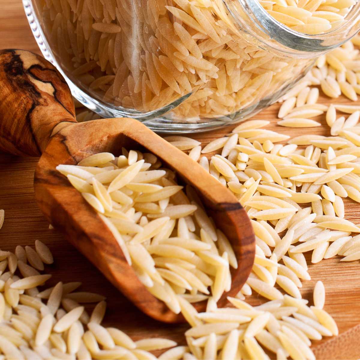 Wood scoop holding dry orzo pasta.