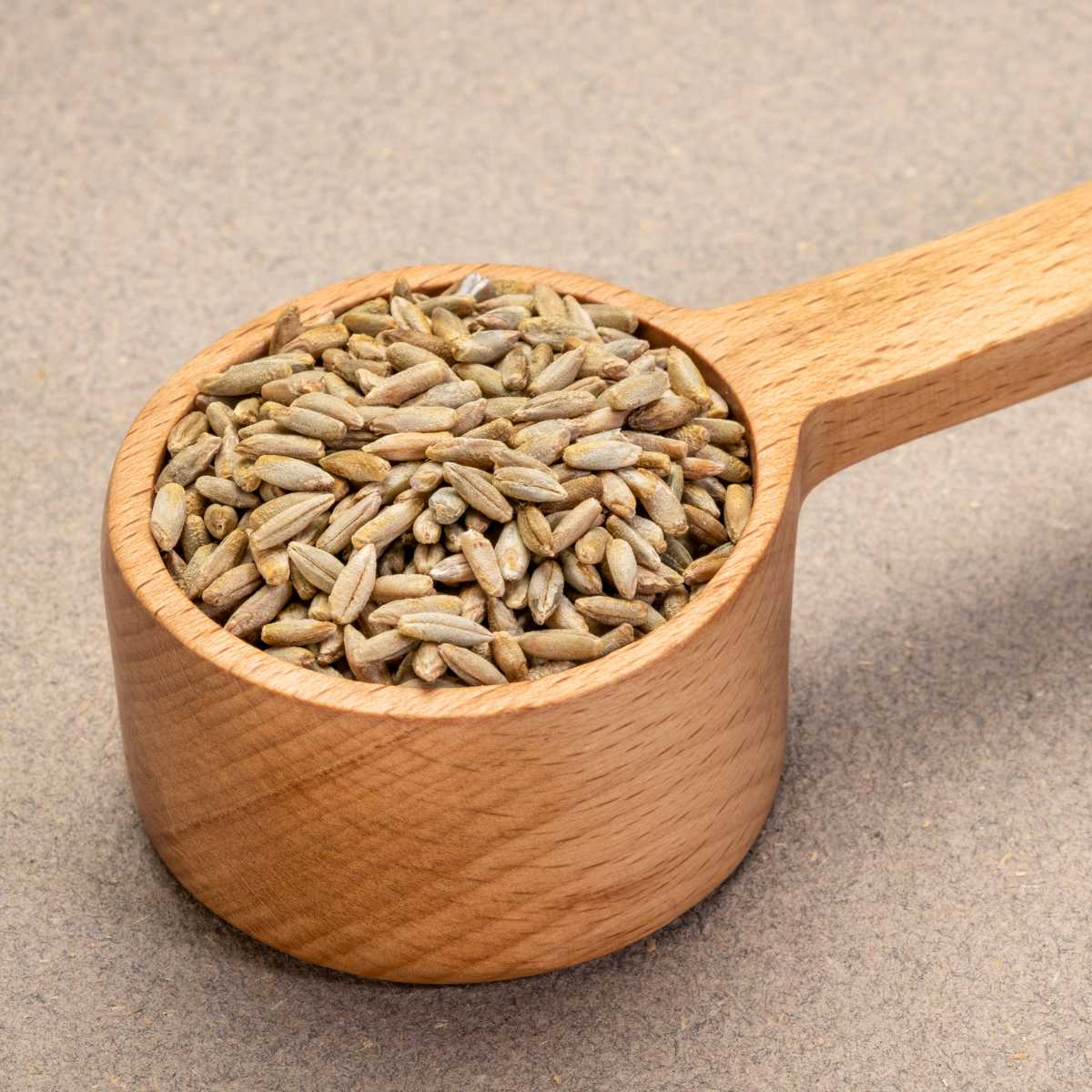 Wooden measuring spoon holding dry rye berries.