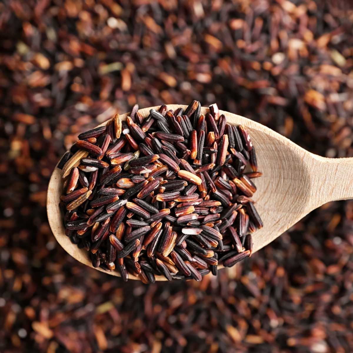 A spoon holding dry wild rice.