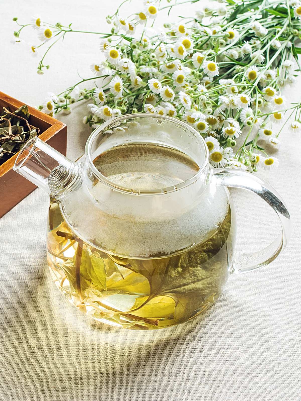 A glass pitcher filled with herbal tea.
