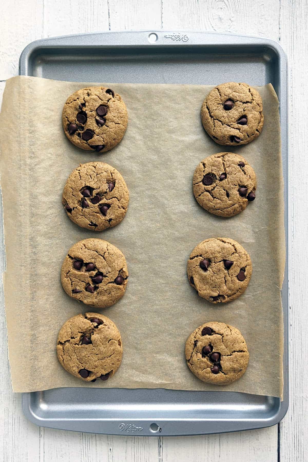 Baked vegan peanut butter chocolate chip cookies on a baking sheet.