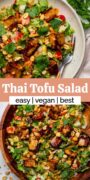 Colorful Thai tofu salad served on a platter with fresh vegetables and herbs.