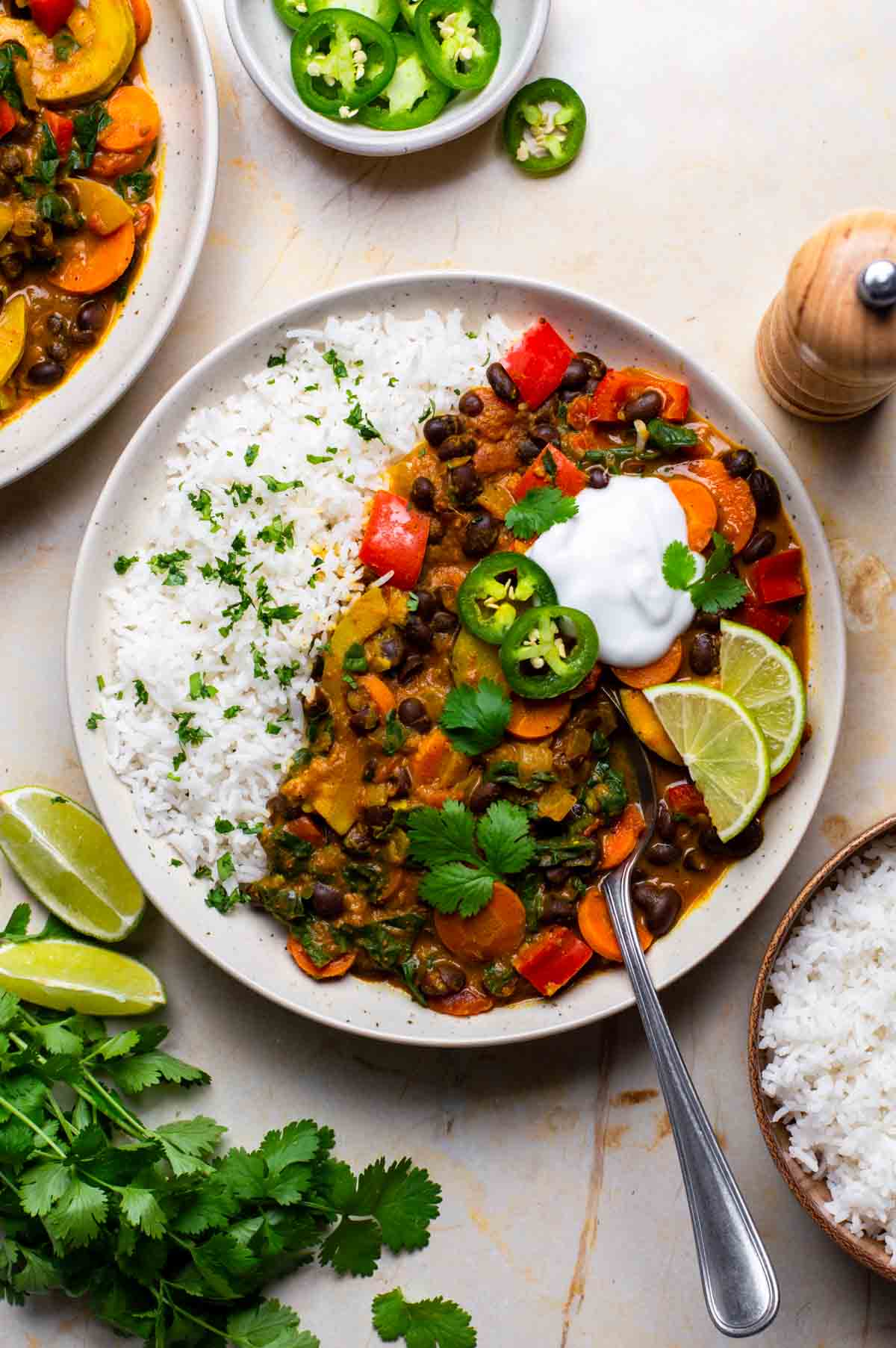 Black bean curry served with fresh cilantro on top, alongside a bowl of rice.