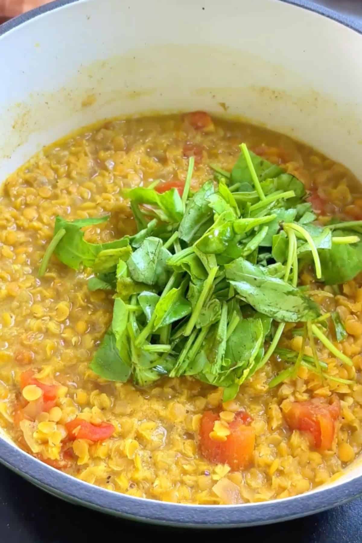Stirring spinach into red lentil soup in a pot.