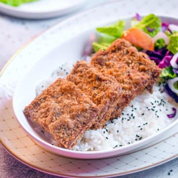 tofu cutlets placed on top of a bowl of rice.
